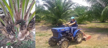 เกษตรกร